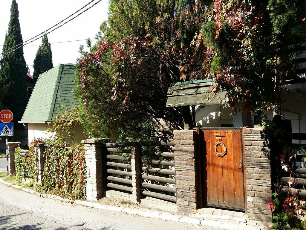 Apartment Jancic Smederevo Exterior foto